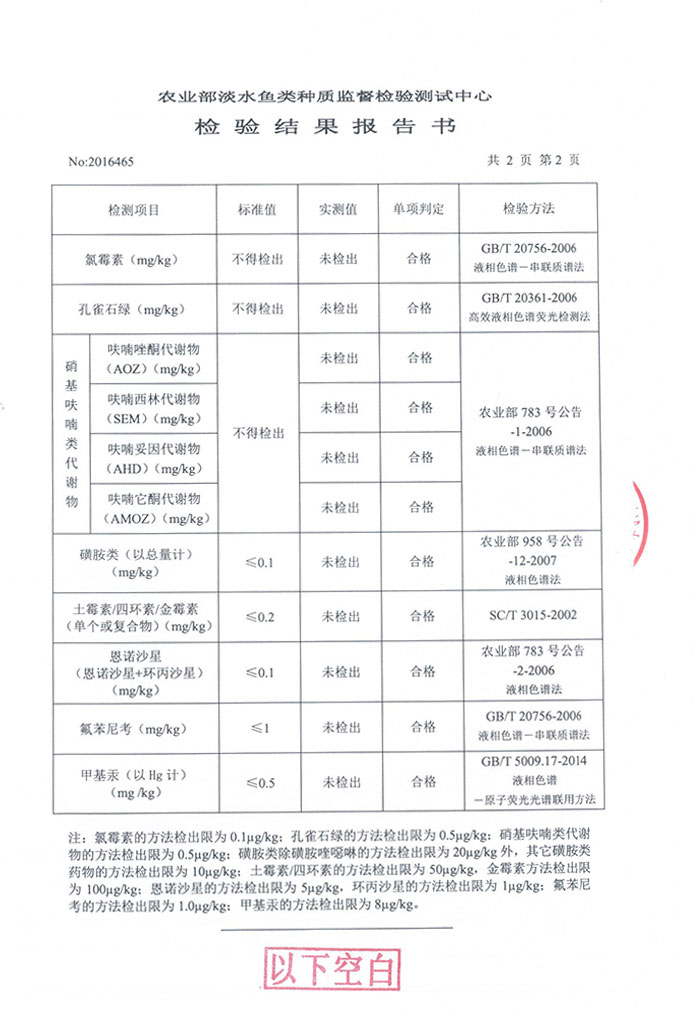 仙桃黄鳝养殖